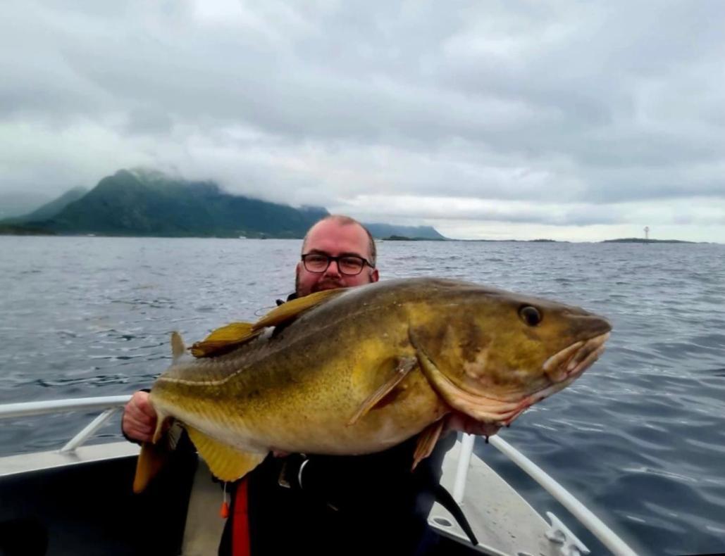 Lofoten And Vesteralen Kveldro Myrland Esterno foto