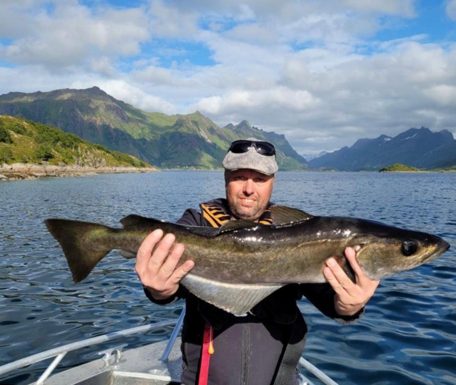Lofoten And Vesteralen Kveldro Myrland Esterno foto