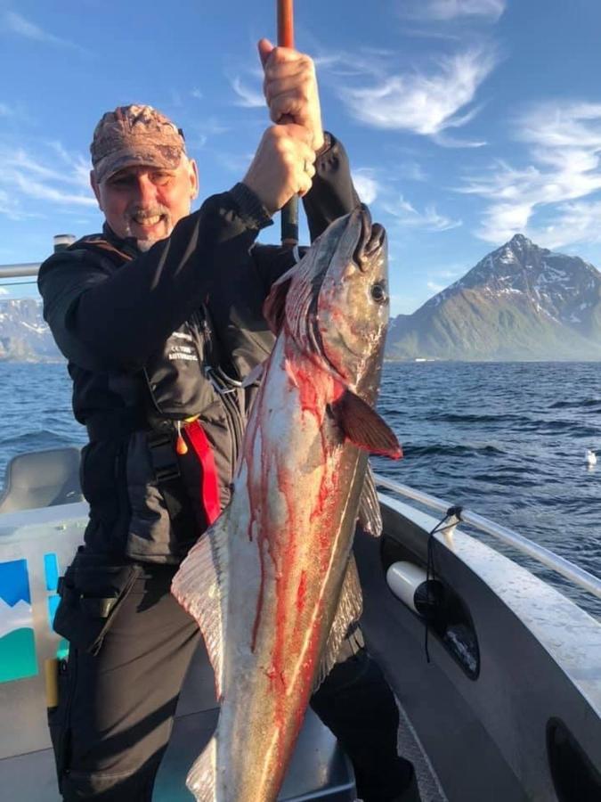 Lofoten And Vesteralen Kveldro Myrland Esterno foto
