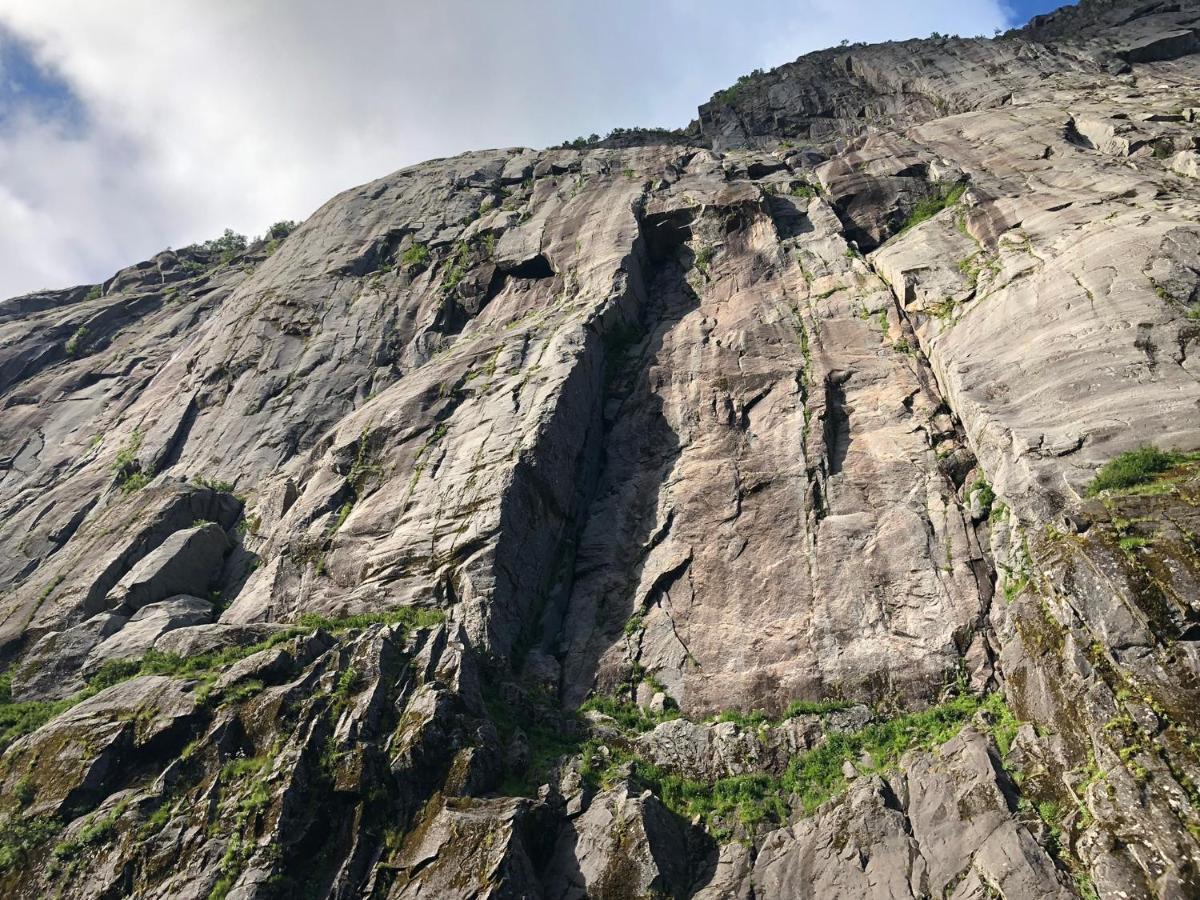 Lofoten And Vesteralen Kveldro Myrland Esterno foto