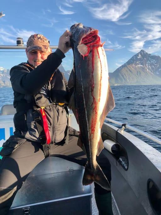 Lofoten And Vesteralen Kveldro Myrland Esterno foto