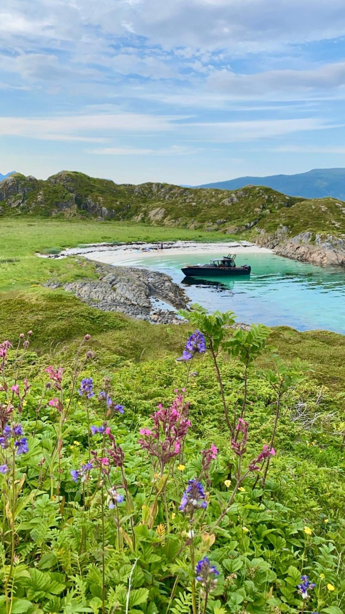 Lofoten And Vesteralen Kveldro Myrland Esterno foto