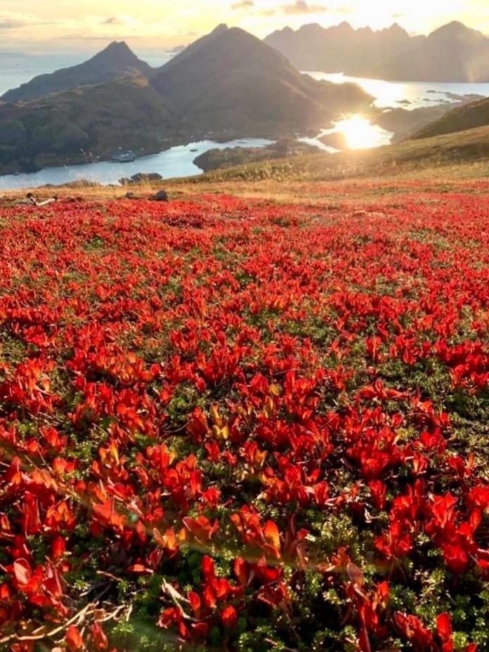 Lofoten And Vesteralen Kveldro Myrland Esterno foto