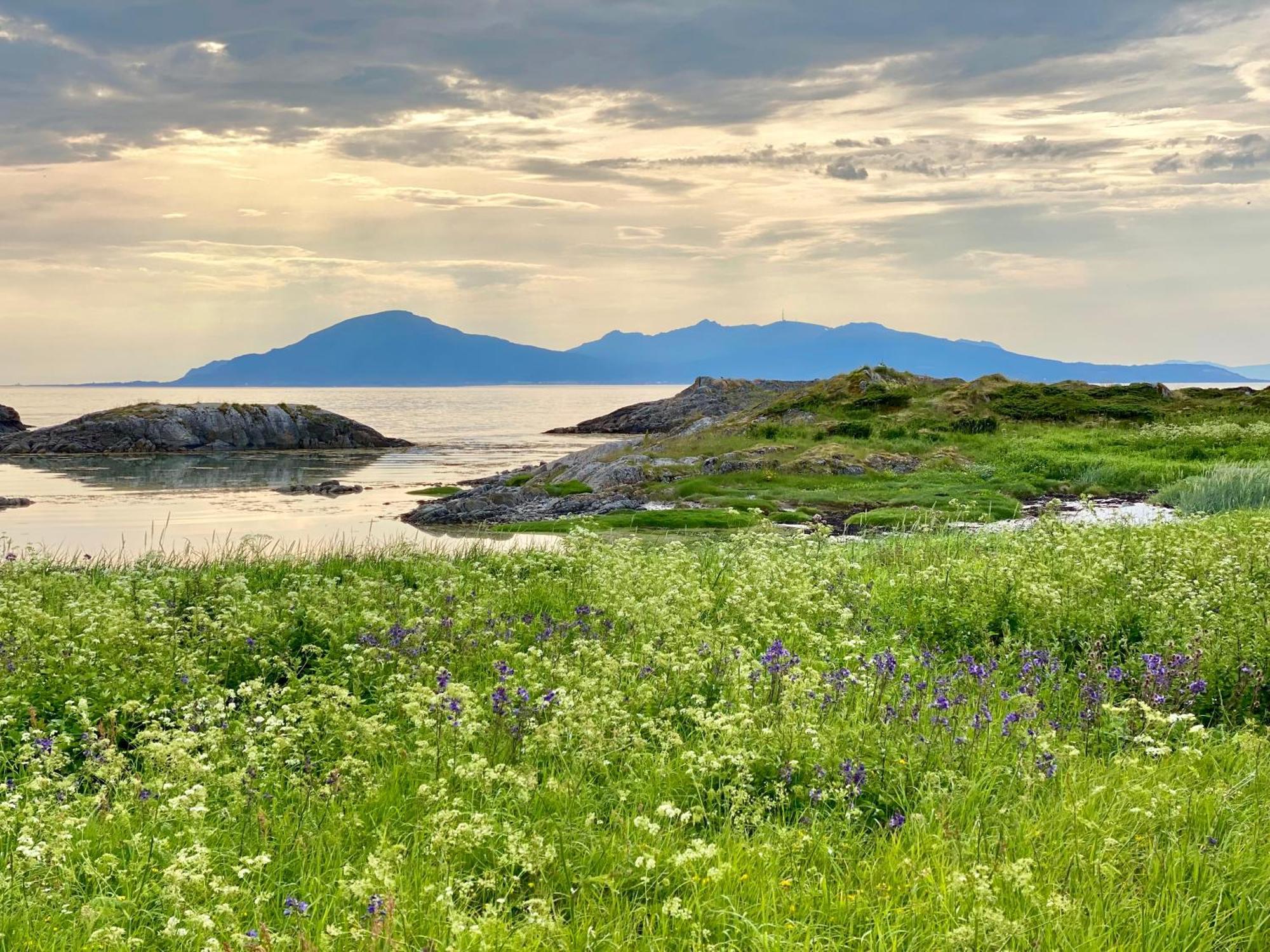 Lofoten And Vesteralen Kveldro Myrland Esterno foto